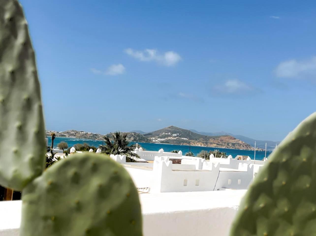 Sea View Casa Lejlighed Naxos City Eksteriør billede